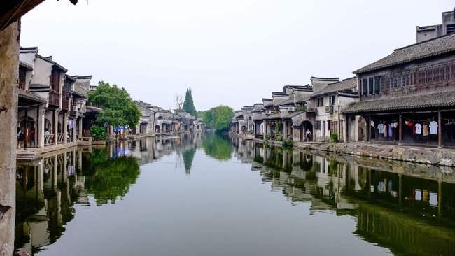 狐狸的旅程